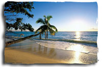 Caribbean - NCL
